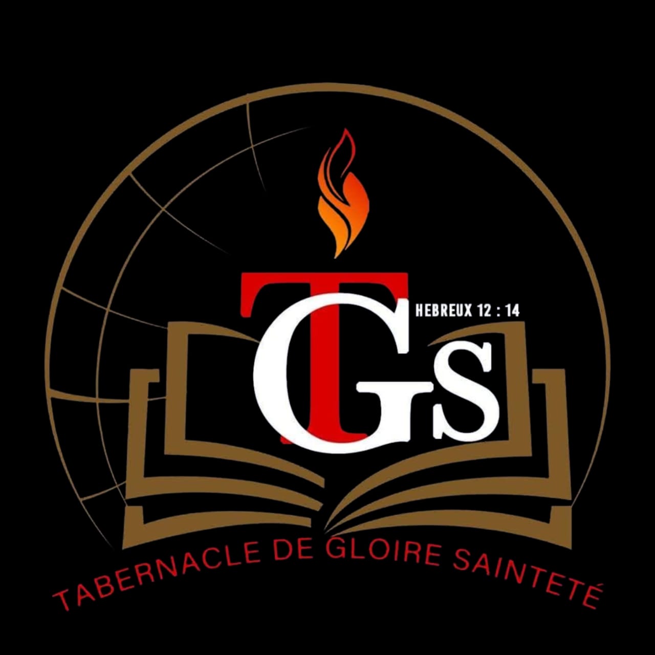 Logo TGS